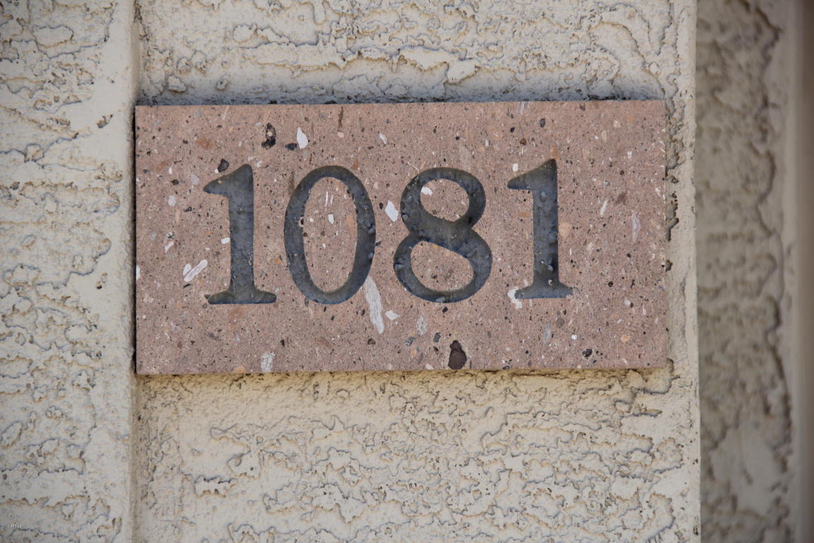 1081 W LONGHORN Drive, Chandler, AZ 85286