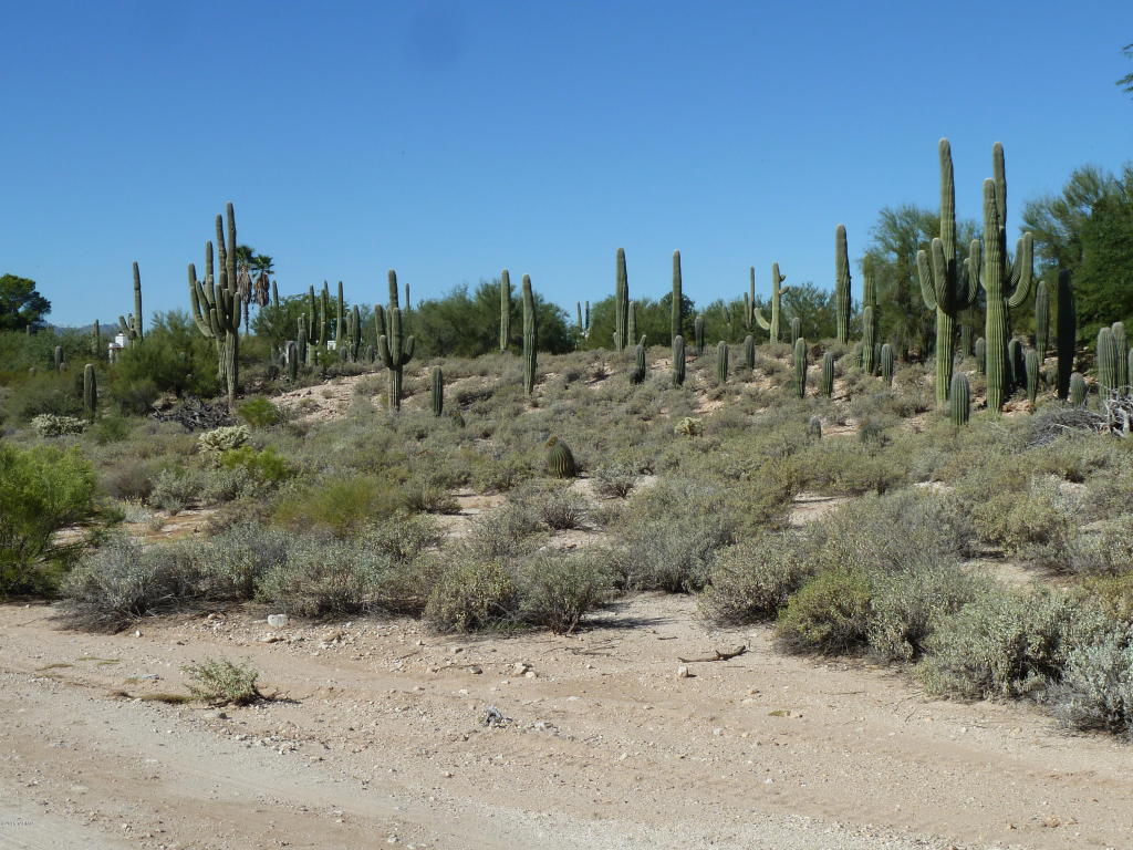 751 W Panorama, Tucson, AZ 85704