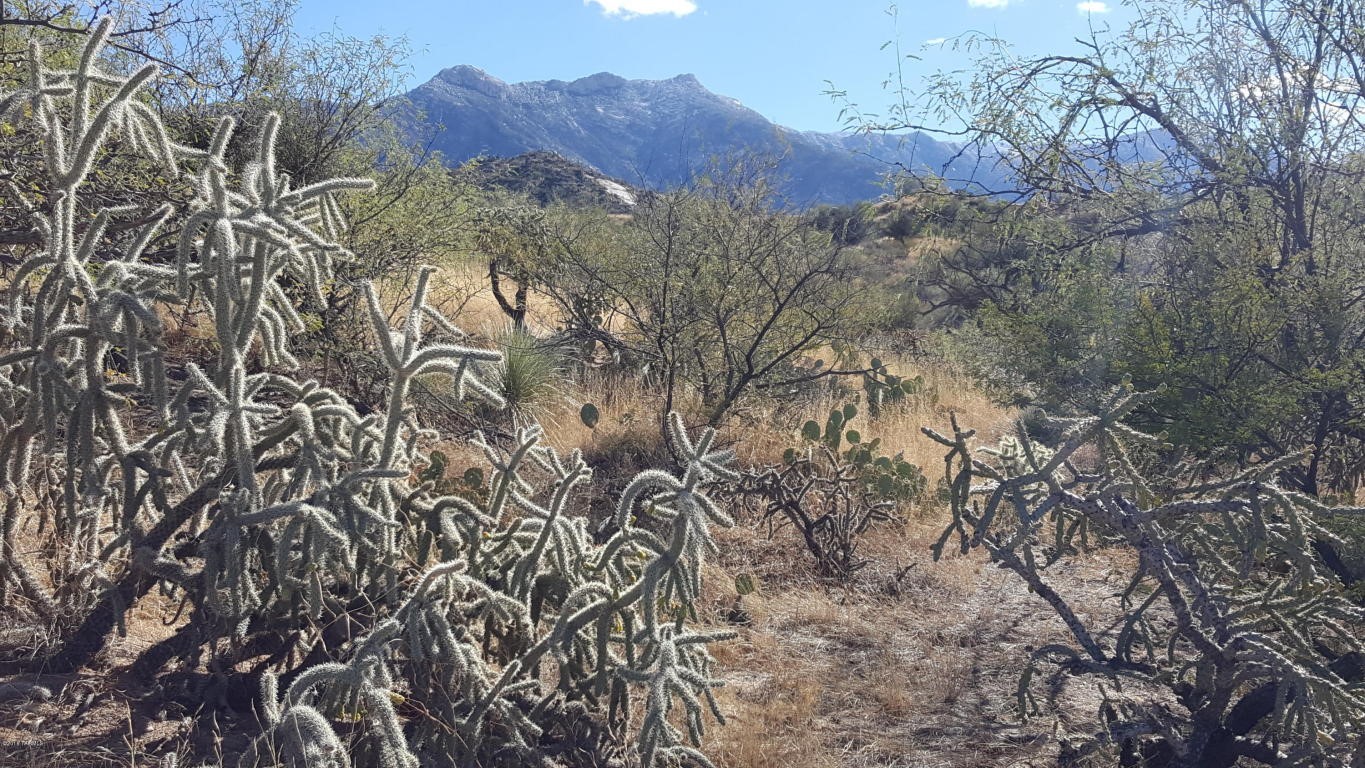 Ridge Rock Trail, Tucson, AZ 85739