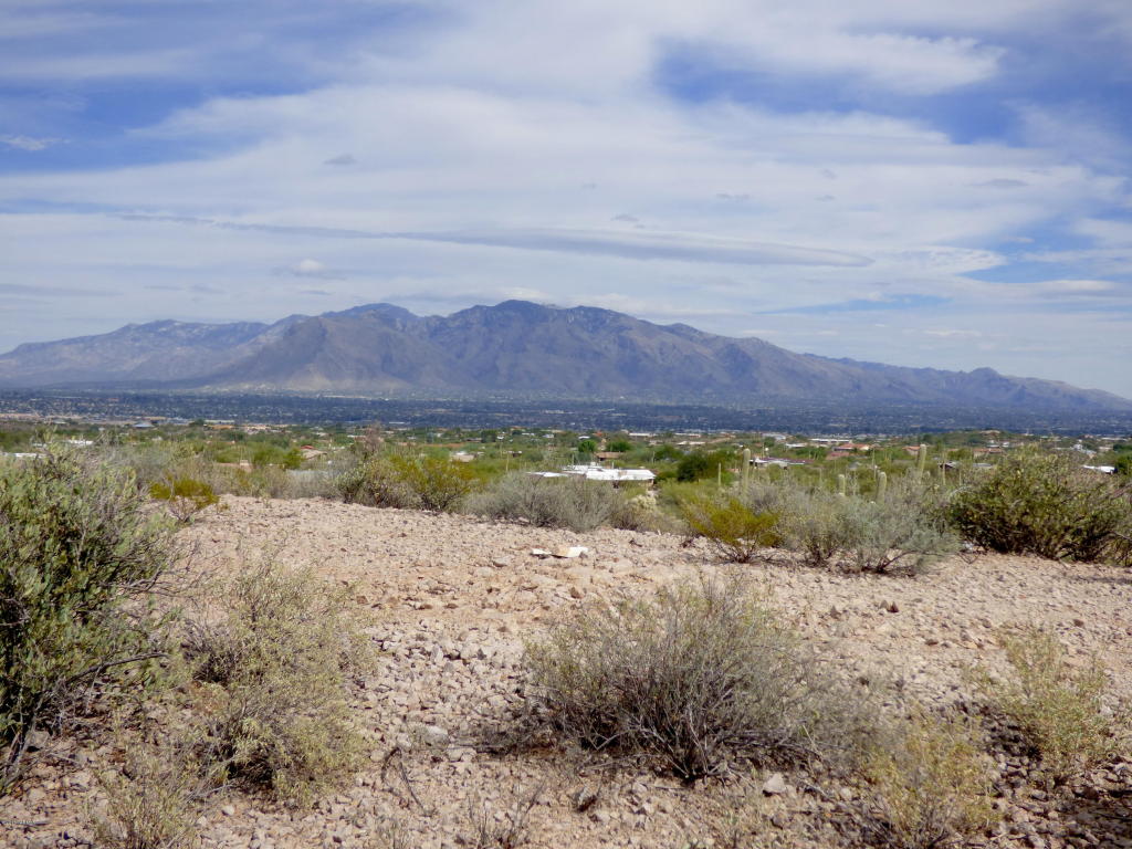 5891 W El Camino Del Cerro B, Tucson, AZ 85745