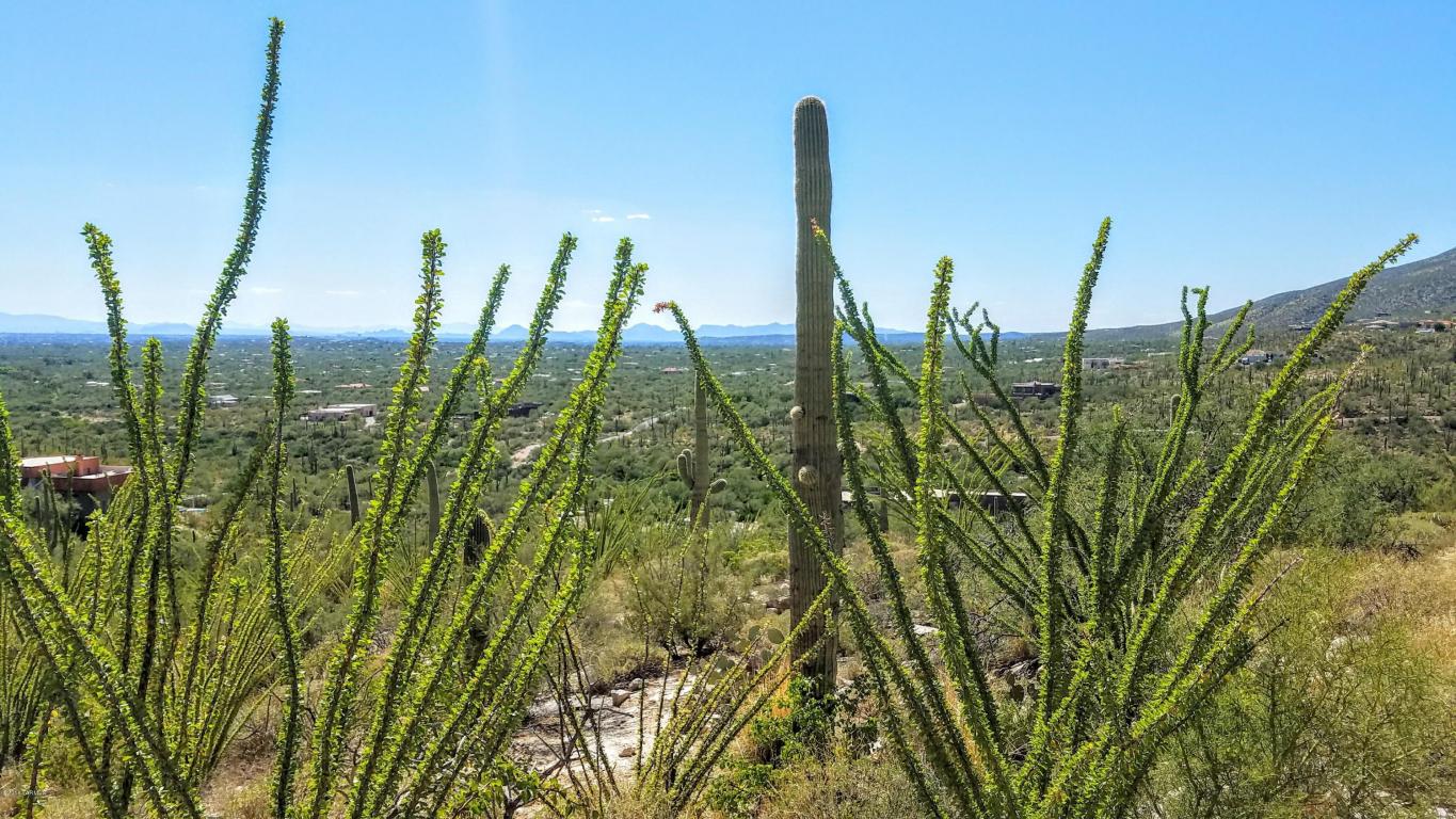 12895 E Cabeza De Vaca, Tucson, AZ 85749