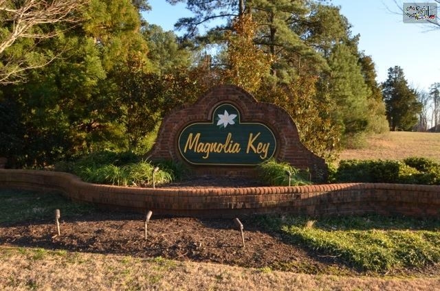 124 Magnolia Key Drive, Chapin, SC 29036