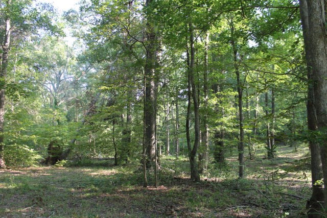 Lot 6 Gregory Lake Road, North Augusta, SC 29860