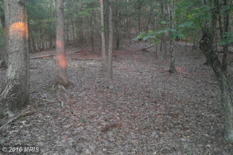 LOT 7 NORTH RIVER RD, Augusta, WV 26704