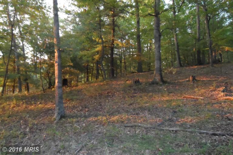 LOT 2 NORTH RIVER RD, Augusta, WV 26704