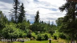For Sale: 37775 Greer Rd Homer, AK 99603