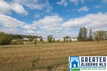 5788 Co Rd 1043