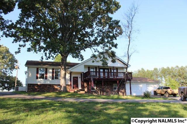 50 County Road 469