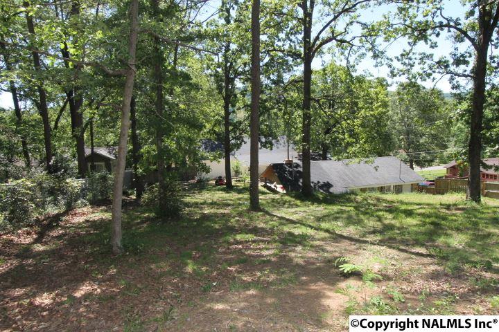 459 County Road 88