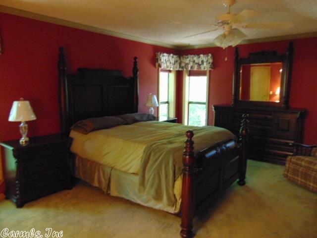 29 Frontera Cir