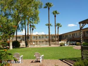 1111 E Turney Ave #31