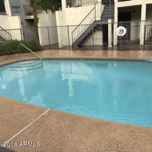 1831 W Mulberry Dr #233