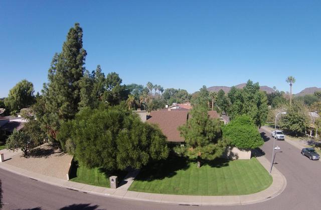 1736 W Laurie Ln