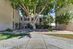 For Sale: 3119 W Cochise Dr #236 Phoenix, AZ 85051