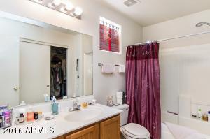 1335 E Rosemary Trl