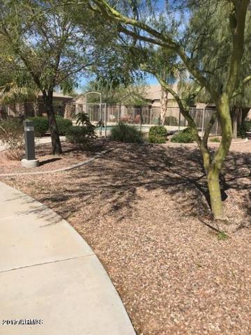 1275 E Brenda Dr