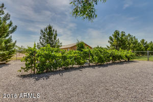 For Sale: 4703 E Horse Mesa Trl San Tan Valley, AZ 85140