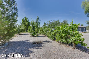 For Sale: 4703 E Horse Mesa Trl San Tan Valley, AZ 85140
