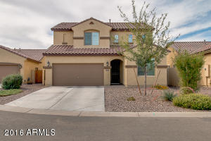 28328 N Cactus Flower Cir