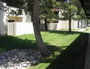 623 W Guadalupe Rd #241