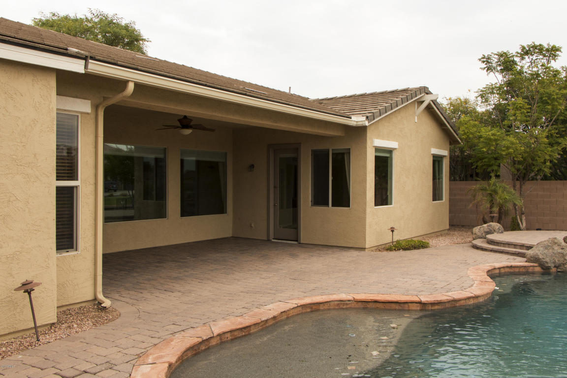 847 E Torrey Pines Pl