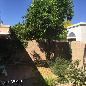 10540 E Saddlehorn Dr