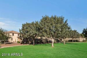 968 E Drexel Dr