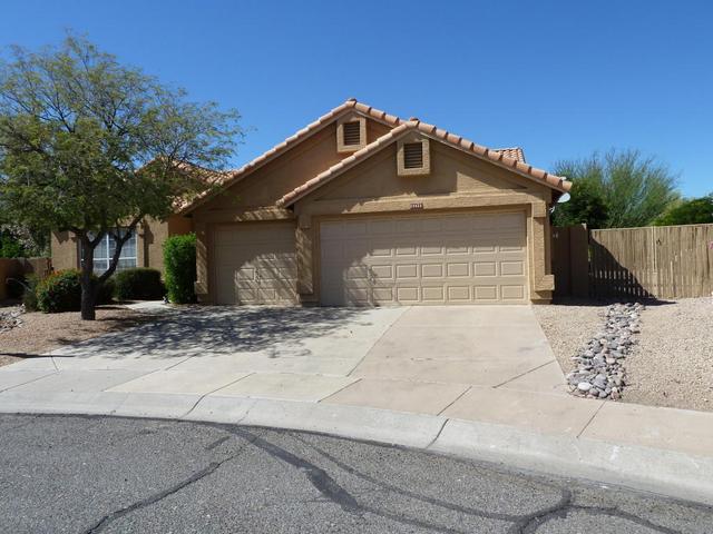 4239 E Desert Marigold Dr