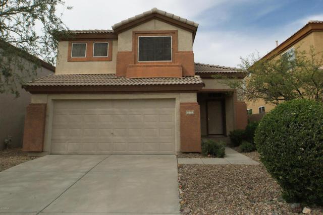 4239 E Desert Marigold Dr