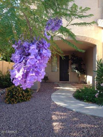 6769 W Remuda Dr