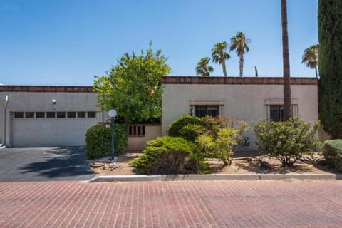 967 W Safari Dr