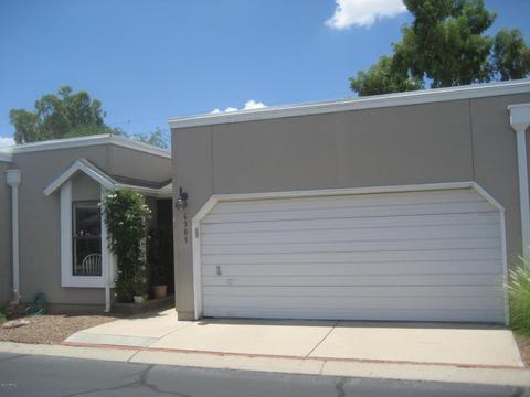 967 W Safari Dr
