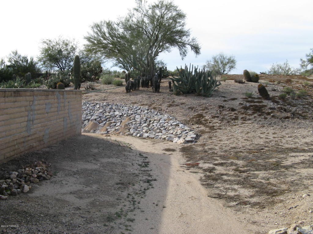 2229 W Morning Spring Pl