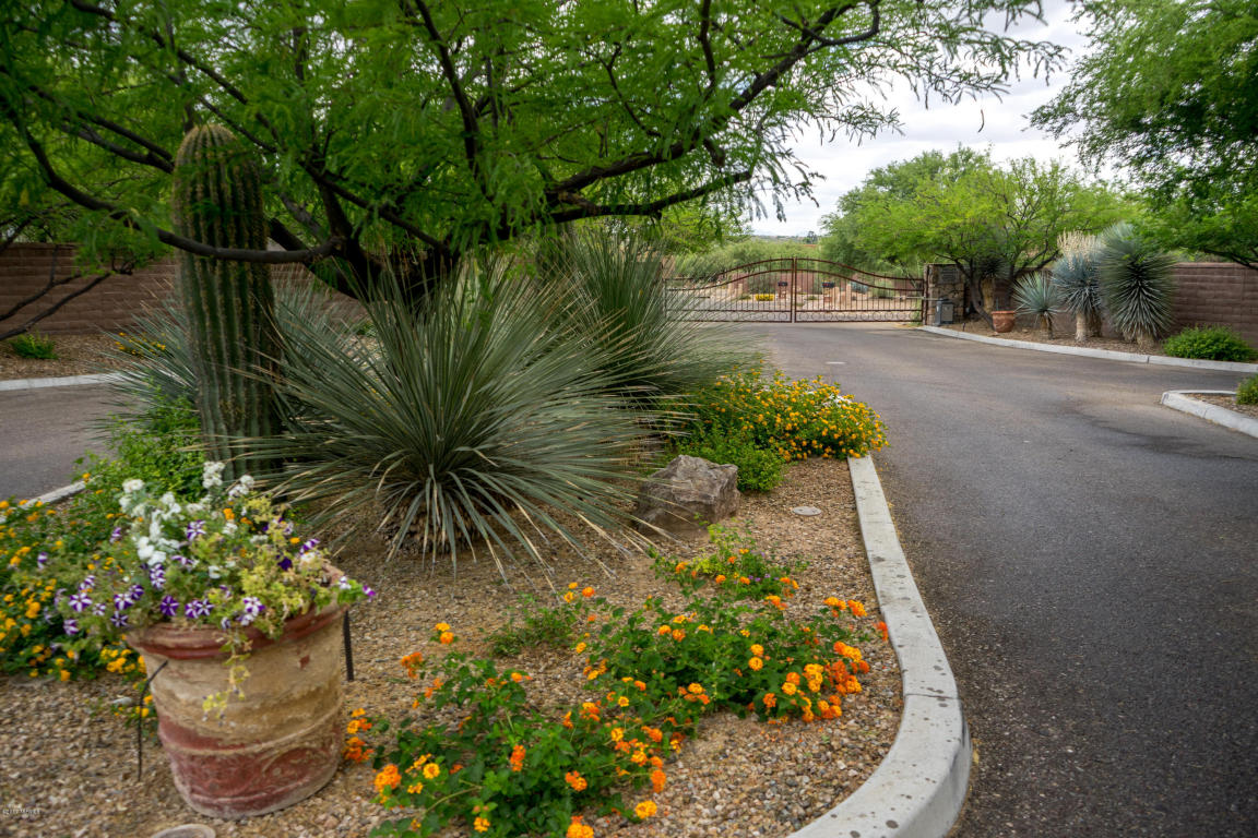 11390 E Calle Del Rincon