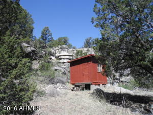 For Sale: 3424 Buttes Ln Show Low, AZ 85901