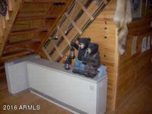 2862 Dovetail Trl