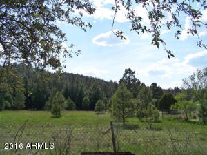 For Sale: 1100 W Sheridan Ave Williams, AZ 86046