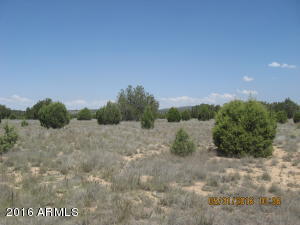For Sale: 00 N Upper Verde Trl Paulden, AZ 86334