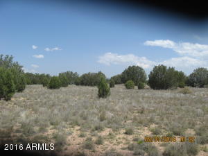 For Sale: 00 N Upper Verde Trl Paulden, AZ 86334