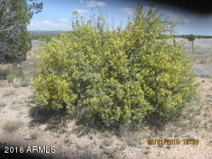 For Sale: 00 N Upper Verde Trl Paulden, AZ 86334