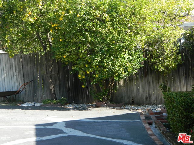 923 Alta Vista Dr