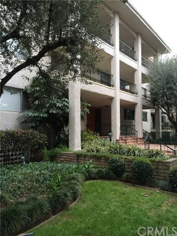 420 S Madison Ave #203