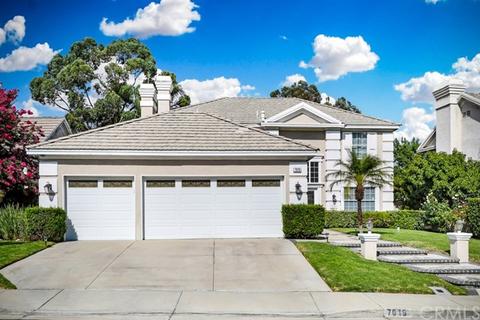 11401 Broken Branch Dr