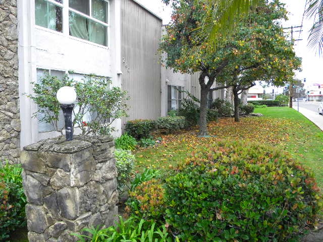 285 Moss St #84