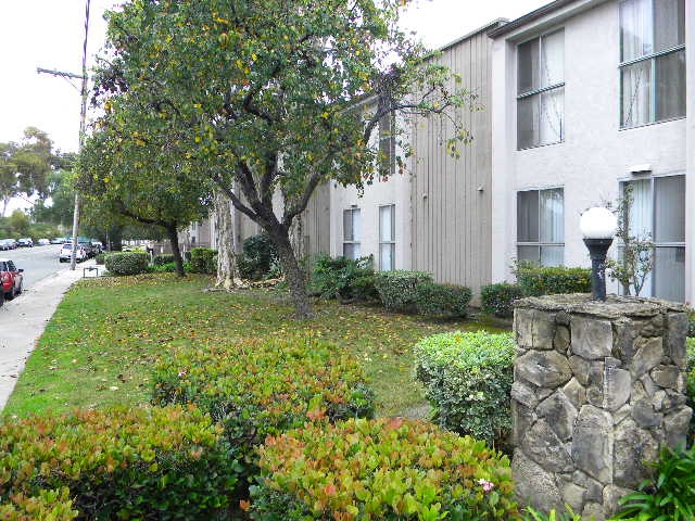 285 Moss St #84