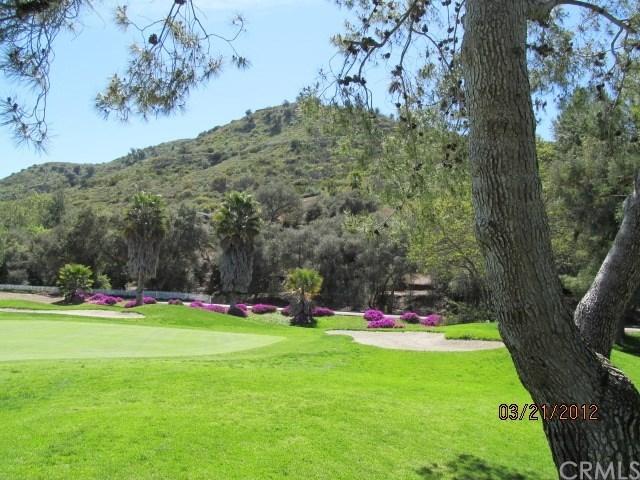 1620 Pala Lake Dr