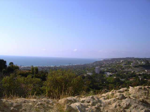 1624 Torrey Pines Rd