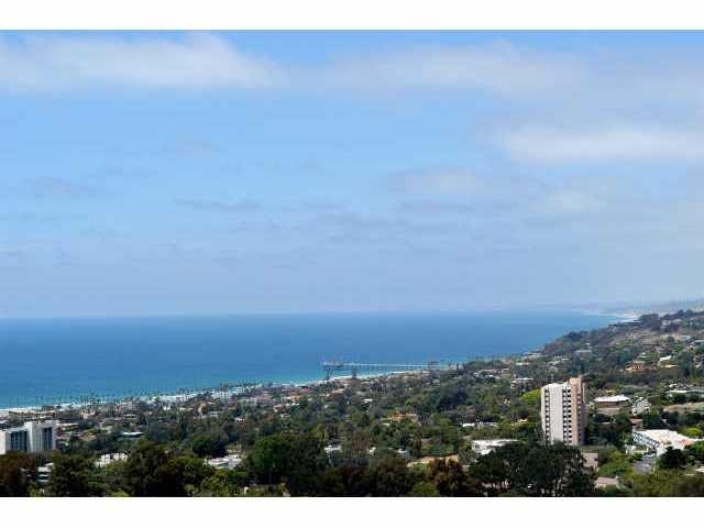 1624 Torrey Pines Rd