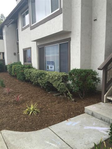 10128 Carefree Dr