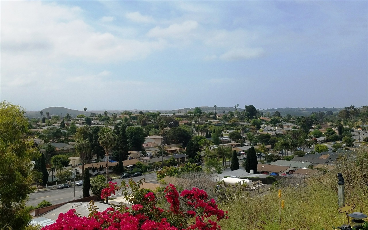 4173 Alana Cir